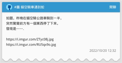 騎車遇到蛇代表什麼|【騎車遇到蛇代表什麼】騎車遇到蛇，你知道代表什麼嗎？